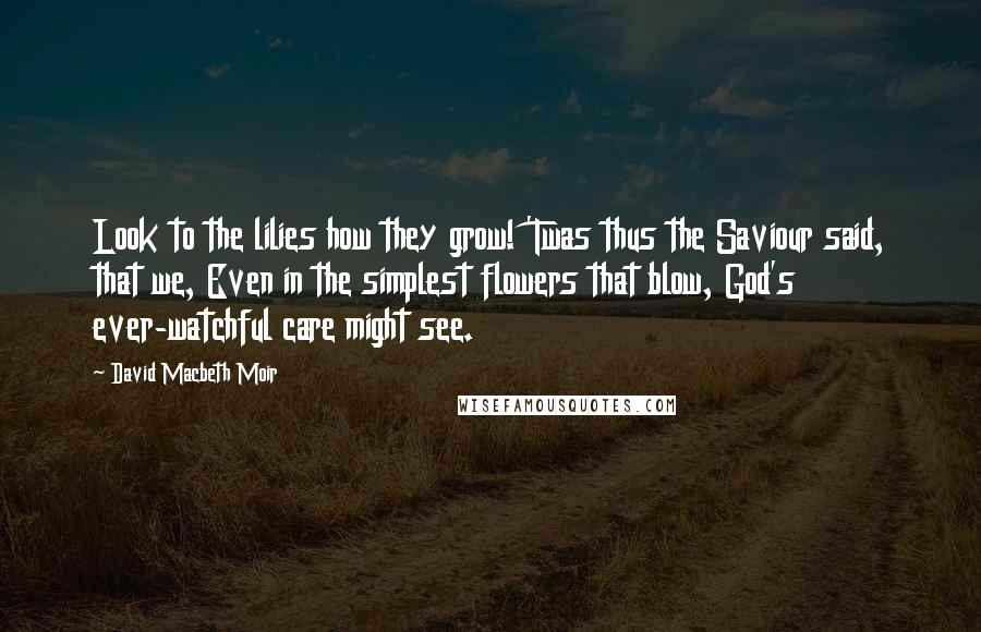 David Macbeth Moir Quotes: Look to the lilies how they grow! 'Twas thus the Saviour said, that we, Even in the simplest flowers that blow, God's ever-watchful care might see.