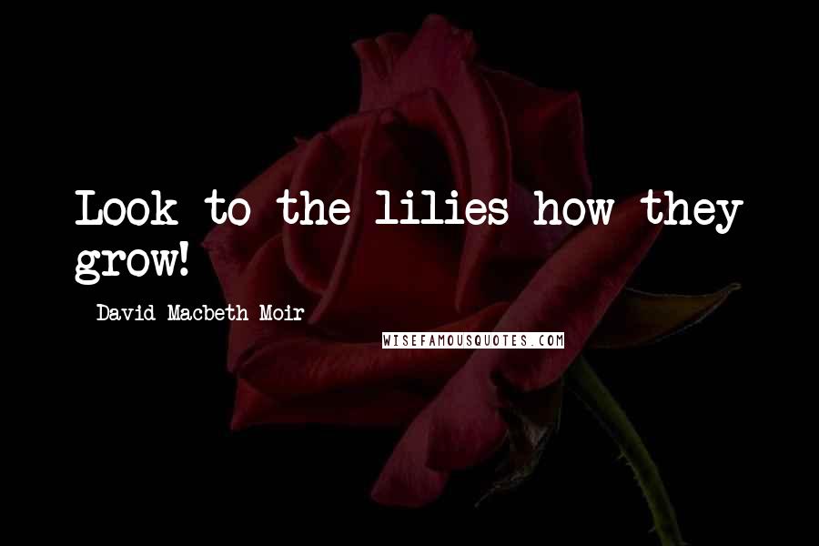 David Macbeth Moir Quotes: Look to the lilies how they grow!