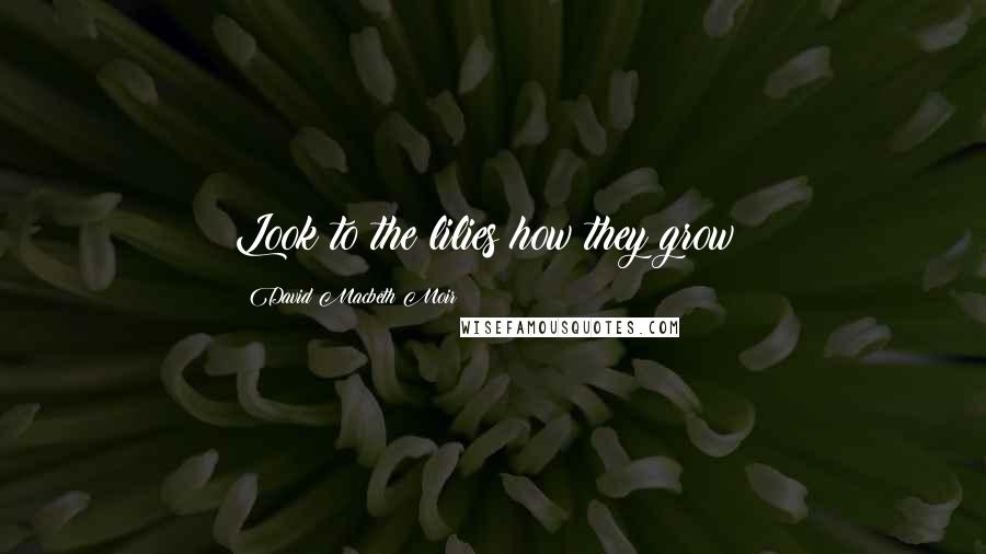 David Macbeth Moir Quotes: Look to the lilies how they grow!