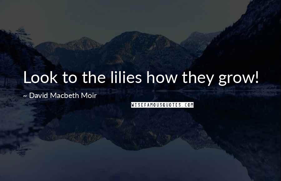 David Macbeth Moir Quotes: Look to the lilies how they grow!