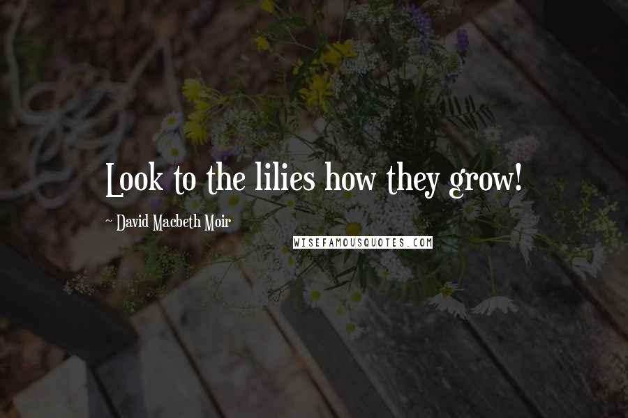 David Macbeth Moir Quotes: Look to the lilies how they grow!