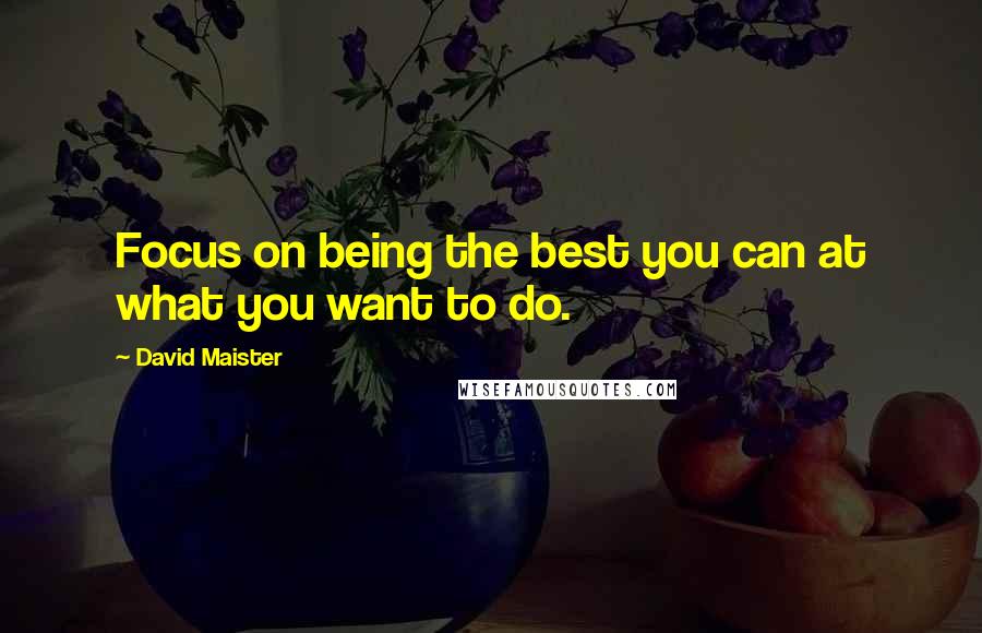 David Maister Quotes: Focus on being the best you can at what you want to do.