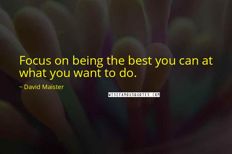 David Maister Quotes: Focus on being the best you can at what you want to do.