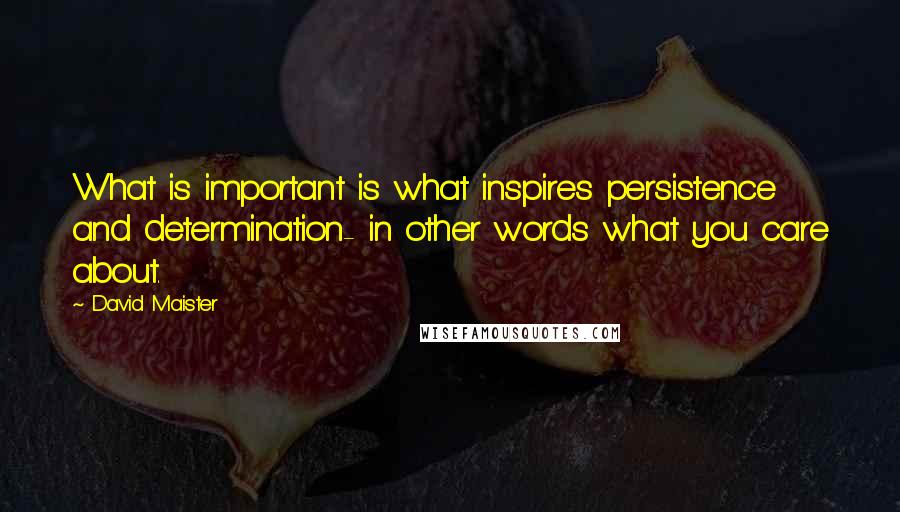 David Maister Quotes: What is important is what inspires persistence and determination- in other words what you care about.