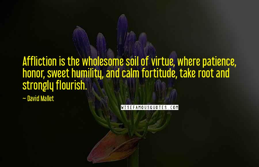 David Mallet Quotes: Affliction is the wholesome soil of virtue, where patience, honor, sweet humility, and calm fortitude, take root and strongly flourish.