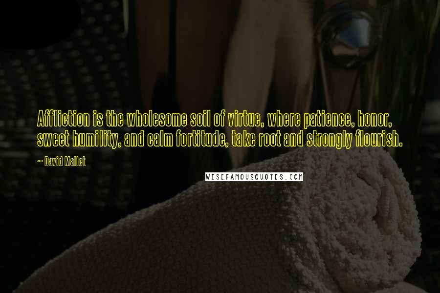 David Mallet Quotes: Affliction is the wholesome soil of virtue, where patience, honor, sweet humility, and calm fortitude, take root and strongly flourish.