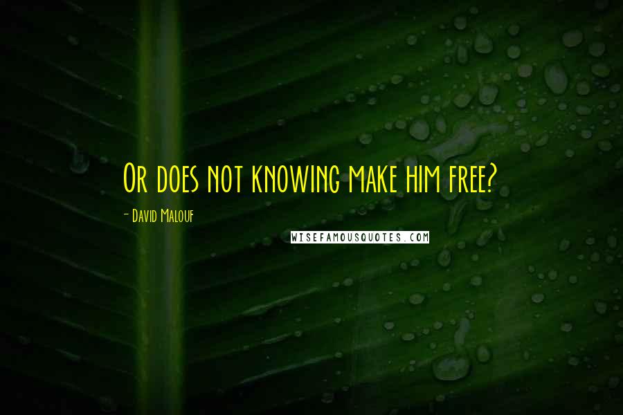 David Malouf Quotes: Or does not knowing make him free?