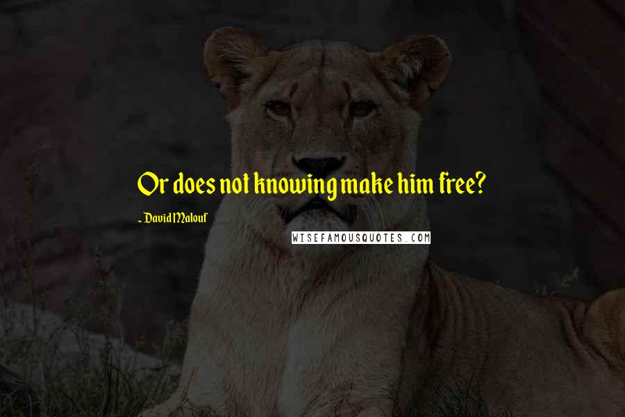 David Malouf Quotes: Or does not knowing make him free?