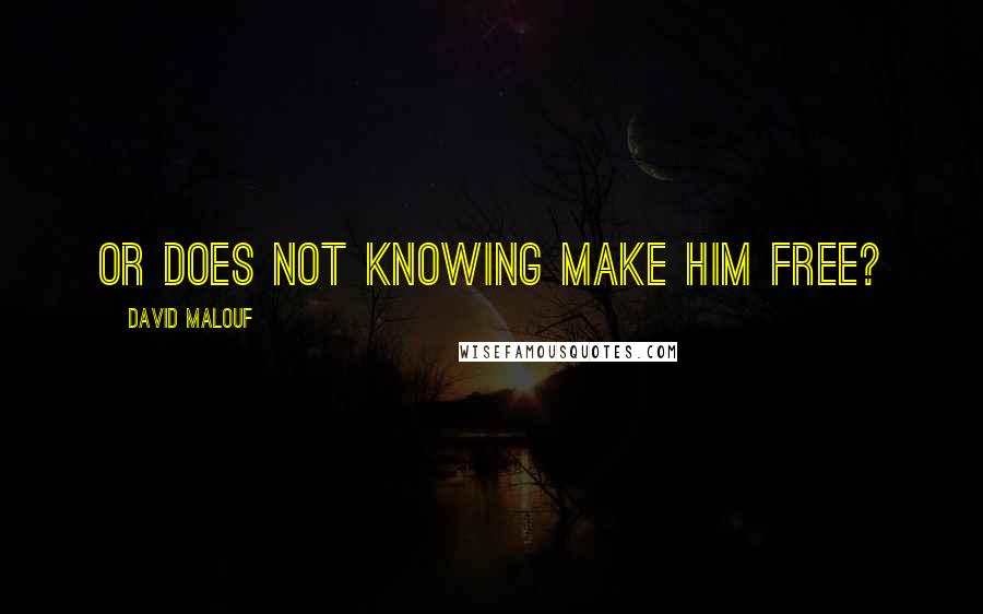 David Malouf Quotes: Or does not knowing make him free?