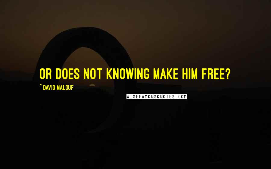 David Malouf Quotes: Or does not knowing make him free?