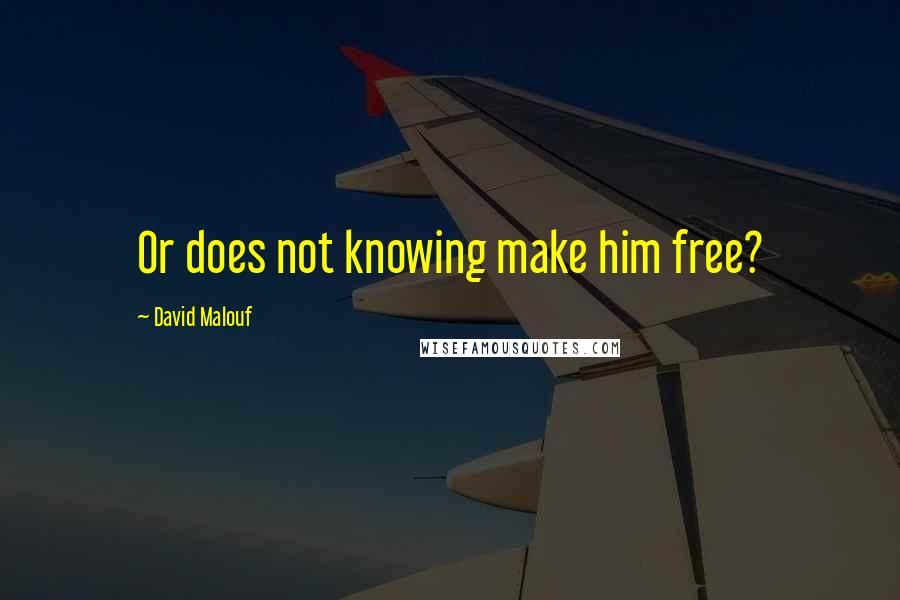 David Malouf Quotes: Or does not knowing make him free?