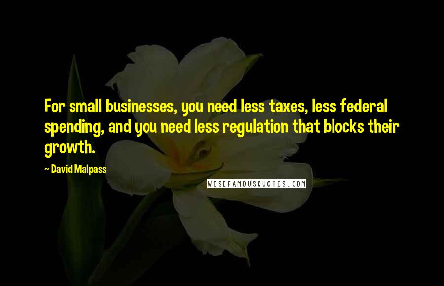 David Malpass Quotes: For small businesses, you need less taxes, less federal spending, and you need less regulation that blocks their growth.