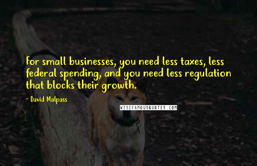 David Malpass Quotes: For small businesses, you need less taxes, less federal spending, and you need less regulation that blocks their growth.