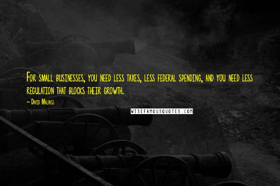David Malpass Quotes: For small businesses, you need less taxes, less federal spending, and you need less regulation that blocks their growth.