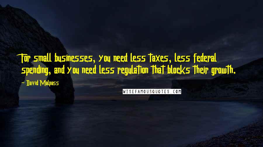 David Malpass Quotes: For small businesses, you need less taxes, less federal spending, and you need less regulation that blocks their growth.