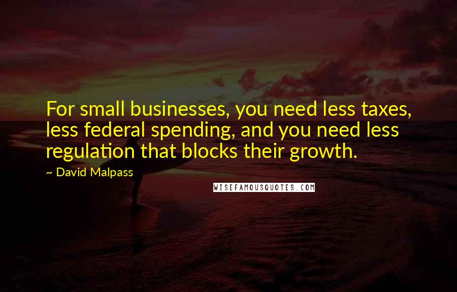 David Malpass Quotes: For small businesses, you need less taxes, less federal spending, and you need less regulation that blocks their growth.