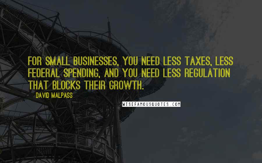 David Malpass Quotes: For small businesses, you need less taxes, less federal spending, and you need less regulation that blocks their growth.