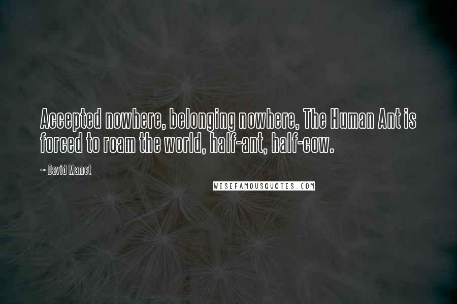 David Mamet Quotes: Accepted nowhere, belonging nowhere, The Human Ant is forced to roam the world, half-ant, half-cow.