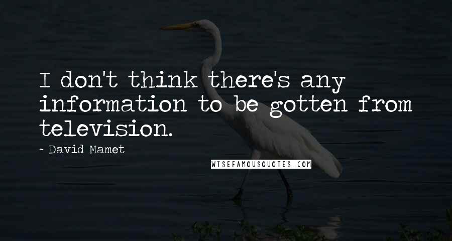 David Mamet Quotes: I don't think there's any information to be gotten from television.