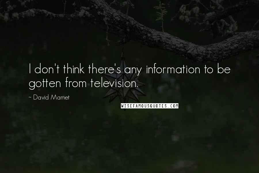David Mamet Quotes: I don't think there's any information to be gotten from television.