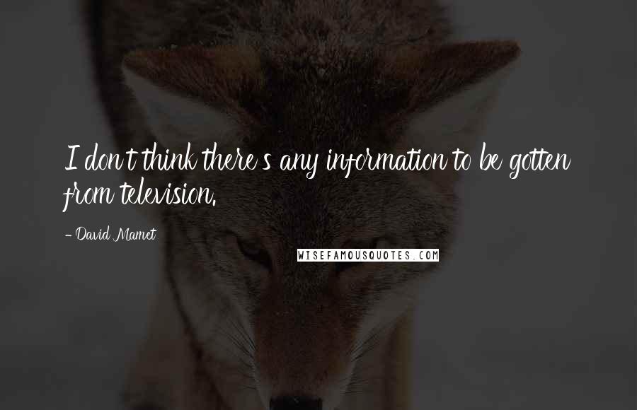 David Mamet Quotes: I don't think there's any information to be gotten from television.