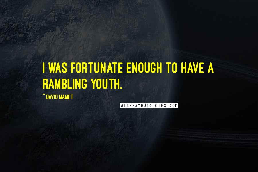 David Mamet Quotes: I was fortunate enough to have a rambling youth.