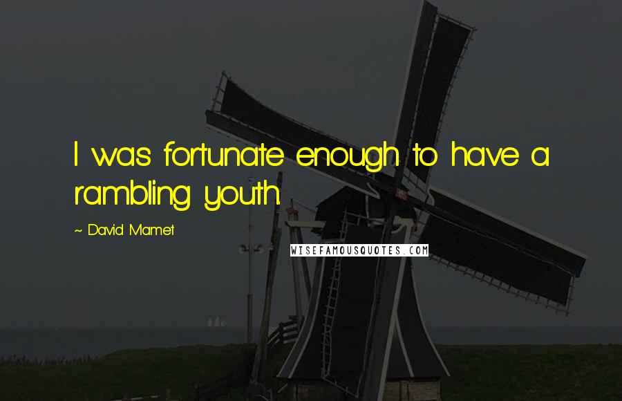 David Mamet Quotes: I was fortunate enough to have a rambling youth.