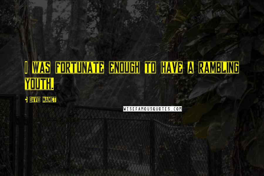 David Mamet Quotes: I was fortunate enough to have a rambling youth.