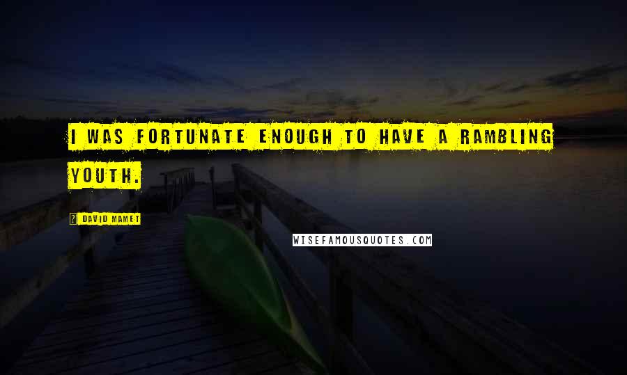 David Mamet Quotes: I was fortunate enough to have a rambling youth.