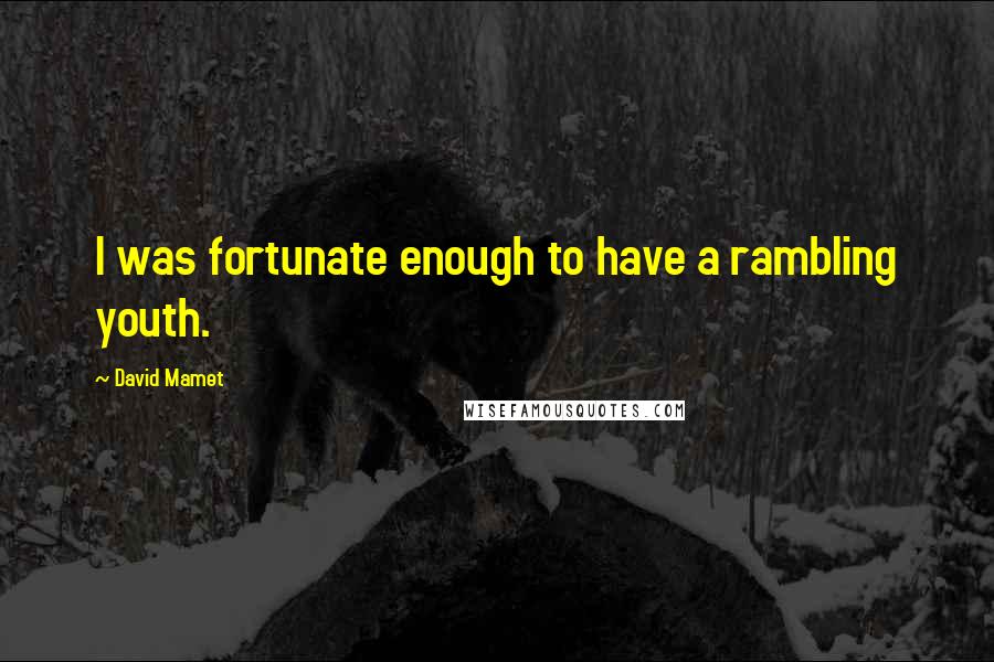 David Mamet Quotes: I was fortunate enough to have a rambling youth.