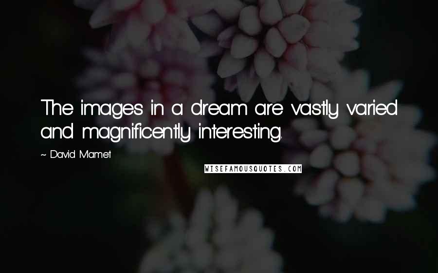 David Mamet Quotes: The images in a dream are vastly varied and magnificently interesting.