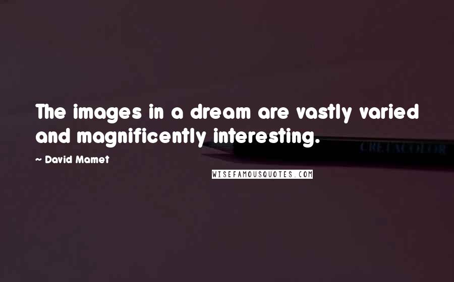 David Mamet Quotes: The images in a dream are vastly varied and magnificently interesting.