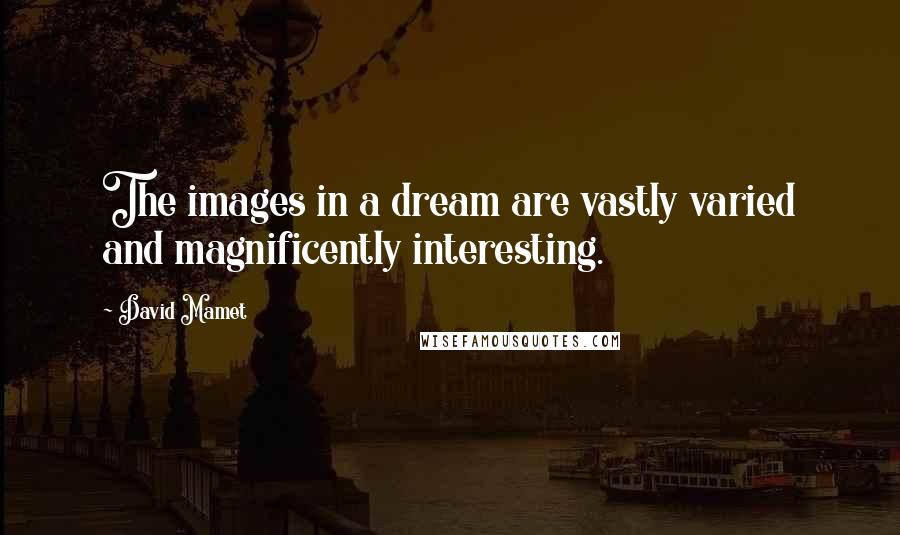 David Mamet Quotes: The images in a dream are vastly varied and magnificently interesting.