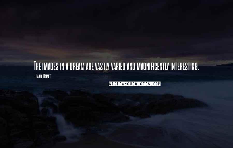 David Mamet Quotes: The images in a dream are vastly varied and magnificently interesting.