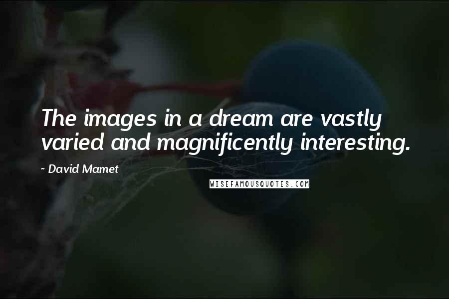 David Mamet Quotes: The images in a dream are vastly varied and magnificently interesting.