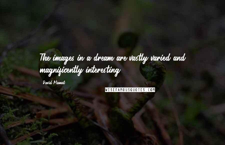 David Mamet Quotes: The images in a dream are vastly varied and magnificently interesting.