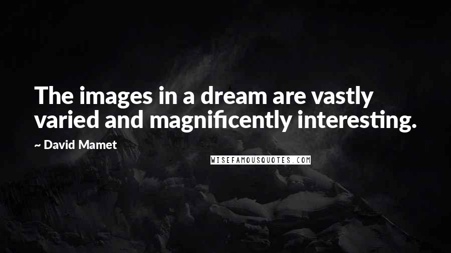 David Mamet Quotes: The images in a dream are vastly varied and magnificently interesting.