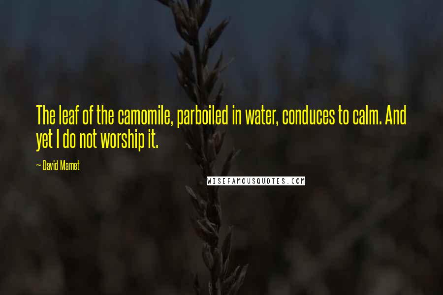 David Mamet Quotes: The leaf of the camomile, parboiled in water, conduces to calm. And yet I do not worship it.