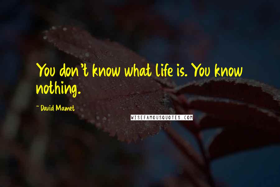 David Mamet Quotes: You don't know what life is. You know nothing.