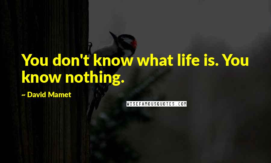 David Mamet Quotes: You don't know what life is. You know nothing.