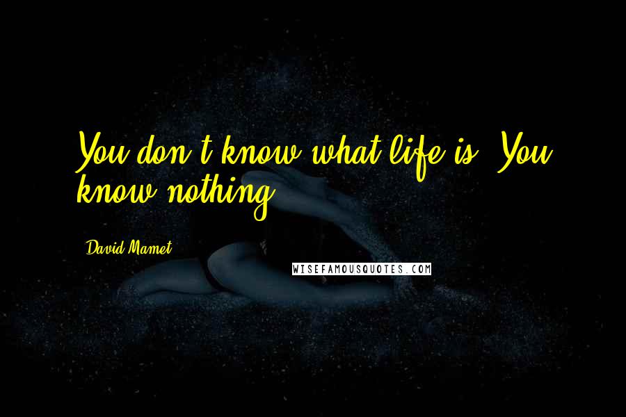 David Mamet Quotes: You don't know what life is. You know nothing.