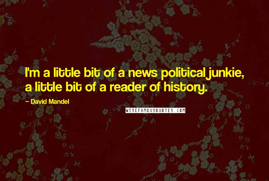 David Mandel Quotes: I'm a little bit of a news political junkie, a little bit of a reader of history.