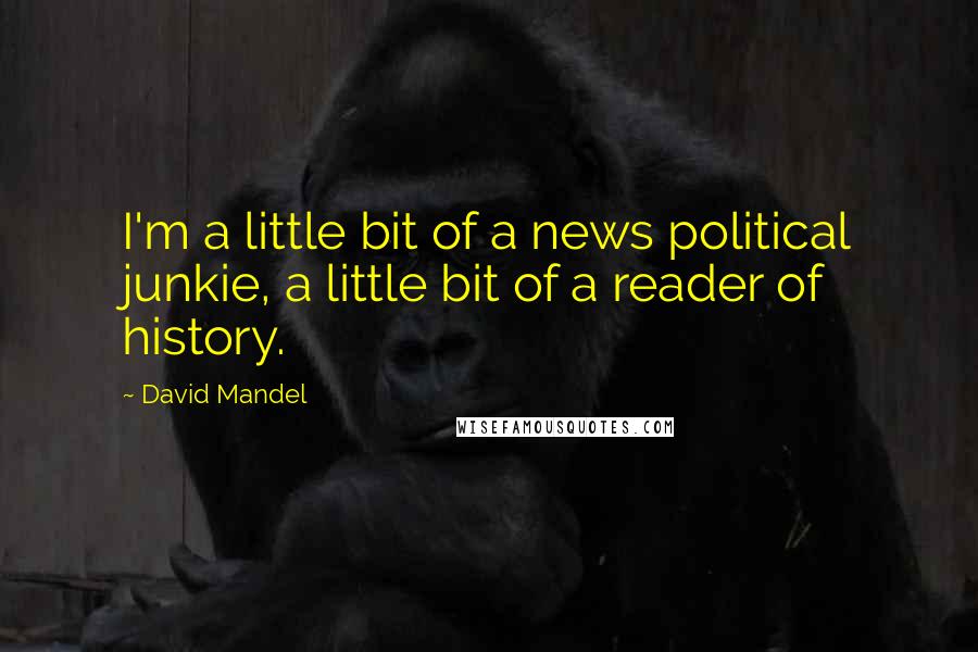 David Mandel Quotes: I'm a little bit of a news political junkie, a little bit of a reader of history.