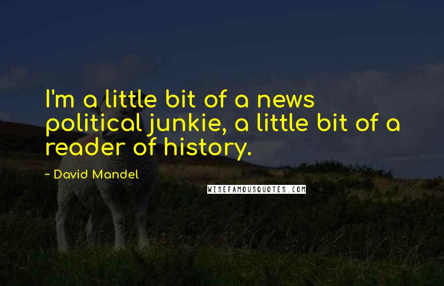 David Mandel Quotes: I'm a little bit of a news political junkie, a little bit of a reader of history.