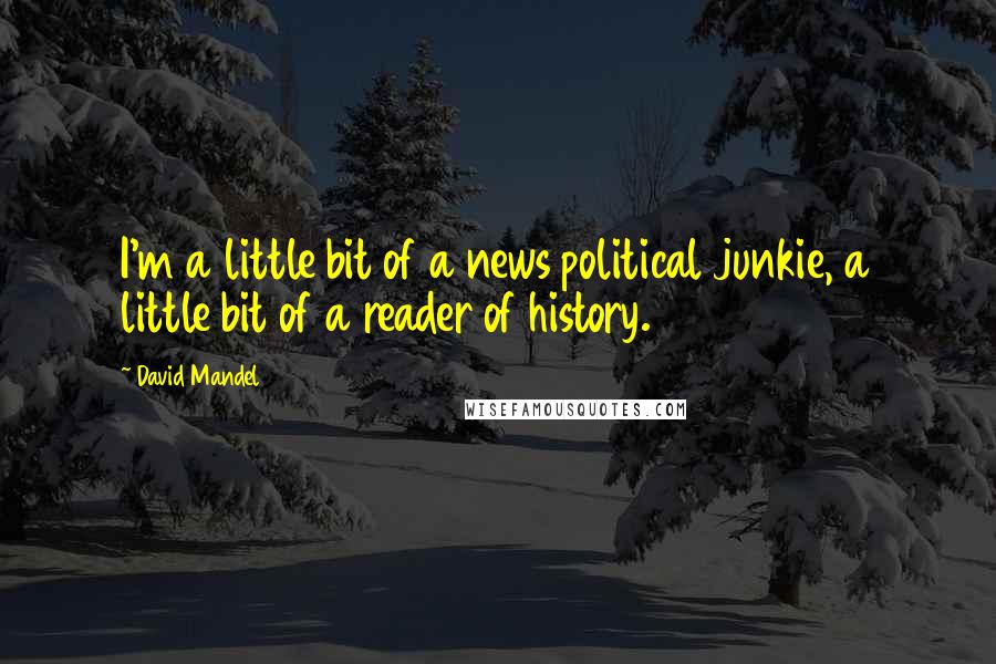 David Mandel Quotes: I'm a little bit of a news political junkie, a little bit of a reader of history.