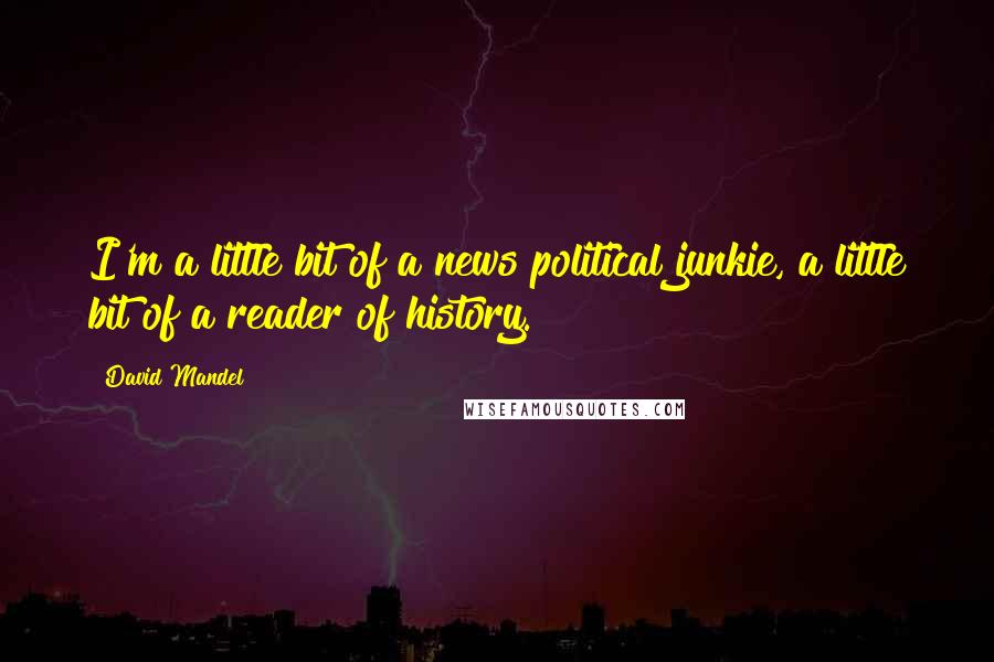 David Mandel Quotes: I'm a little bit of a news political junkie, a little bit of a reader of history.