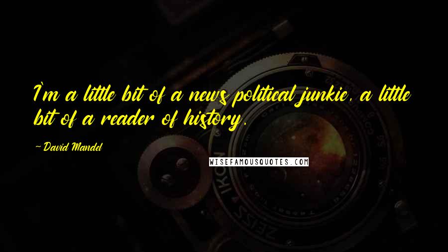 David Mandel Quotes: I'm a little bit of a news political junkie, a little bit of a reader of history.