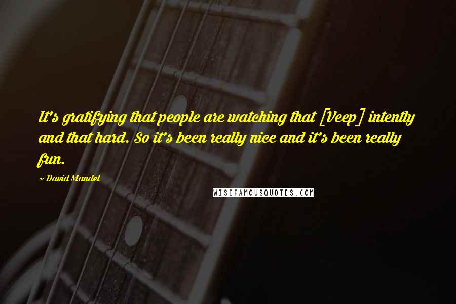 David Mandel Quotes: It's gratifying that people are watching that [Veep] intently and that hard. So it's been really nice and it's been really fun.