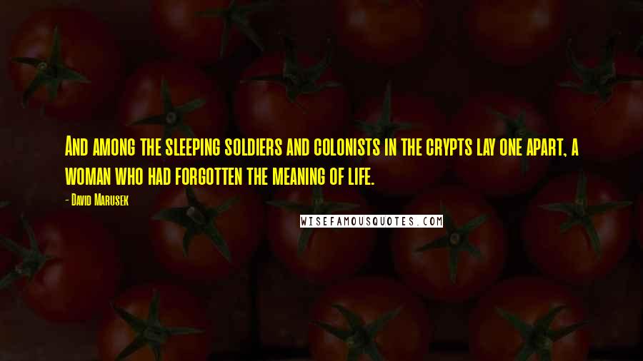 David Marusek Quotes: And among the sleeping soldiers and colonists in the crypts lay one apart, a woman who had forgotten the meaning of life.