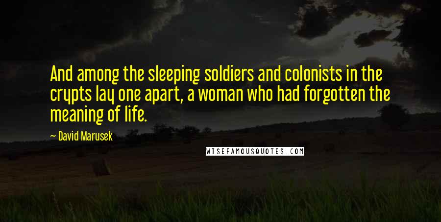 David Marusek Quotes: And among the sleeping soldiers and colonists in the crypts lay one apart, a woman who had forgotten the meaning of life.